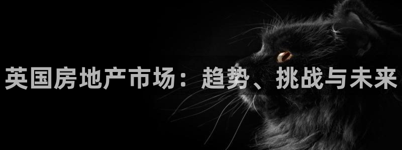 新宝5娱乐平台：英国房地产市场：趋势、挑战与未来