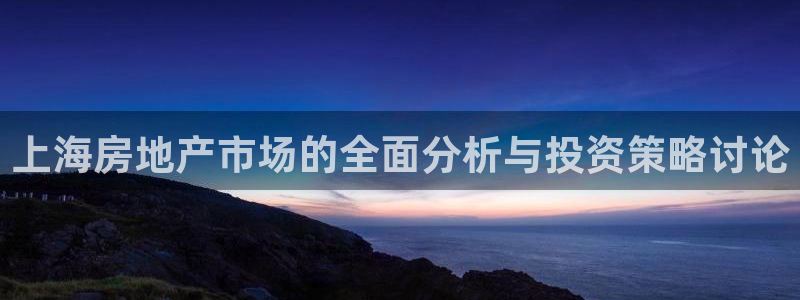 新宝新5：上海房地产市场的全面分析与投资策略讨论