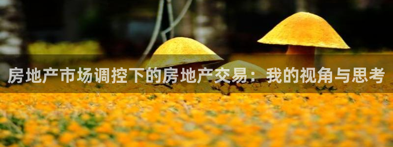 新宝测速5：房地产市场调控下的房地产交易：我的视角与思考