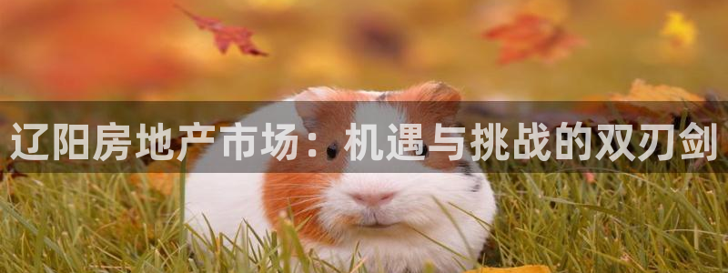 新宝5d：辽阳房地产市场：机遇与挑战的双刃剑