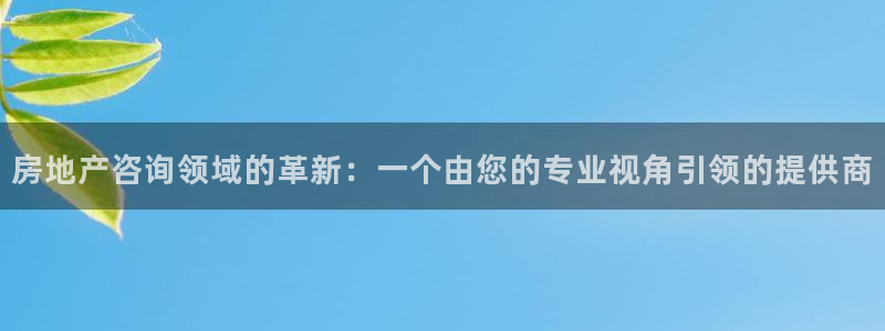 新宝5怎么代理：房地产咨询领域的革新：一个由您的专业视角引领