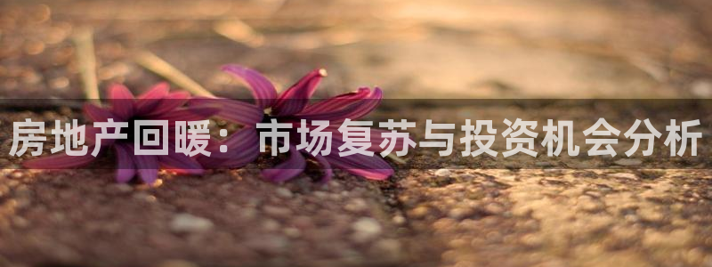 股票5G宝新：房地产回暖：市场复苏与投资机会分析