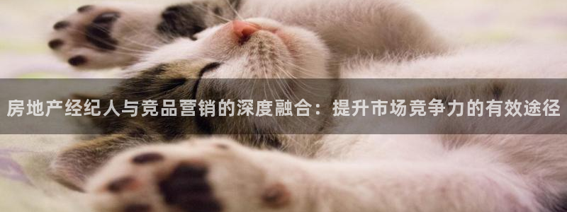 新宝股东张听2 5 5：房地产经纪人与竞品营销的深度融合：提