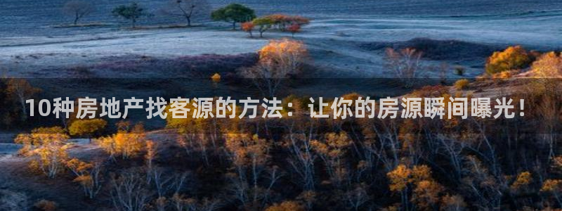 新宝5娱乐登录：10种房地产找客源的方法：让你的房源瞬间曝光