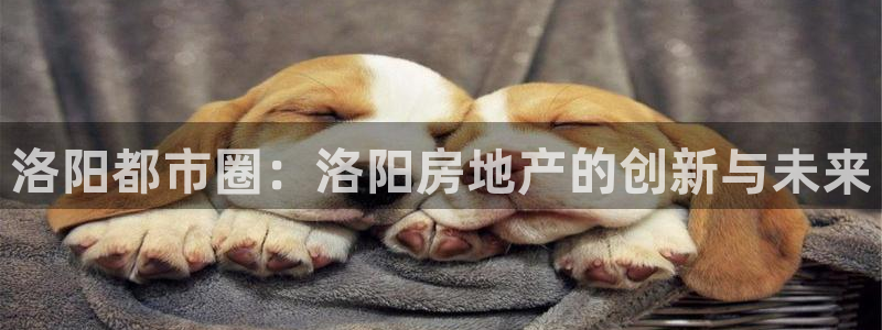 新宝5测速：洛阳都市圈：洛阳房地产的创新与未来