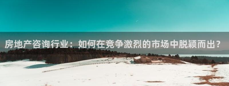 新宝xb5：房地产咨询行业：如何在竞争激烈的市场中脱颖而出？