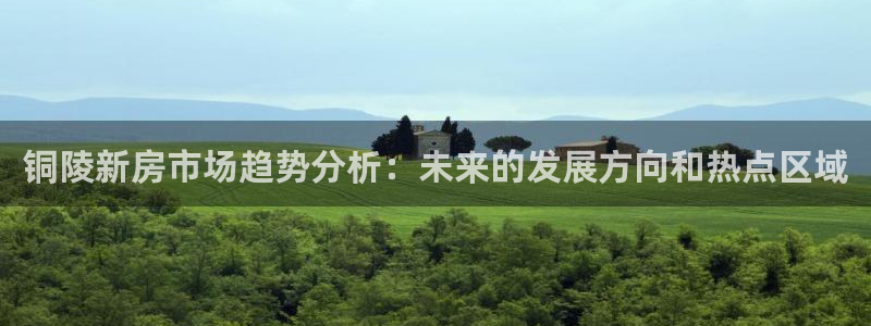 新宝5手机版：铜陵新房市场趋势分析：未来的发展方向和热点区域