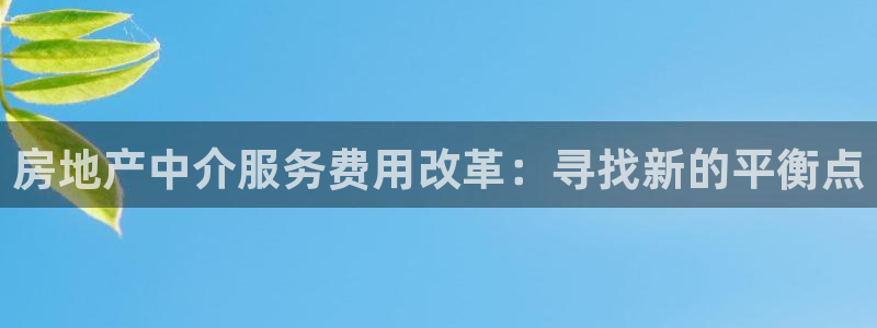 新宝骏rc5W：房地产中介服务费用改革：寻找新的平衡点