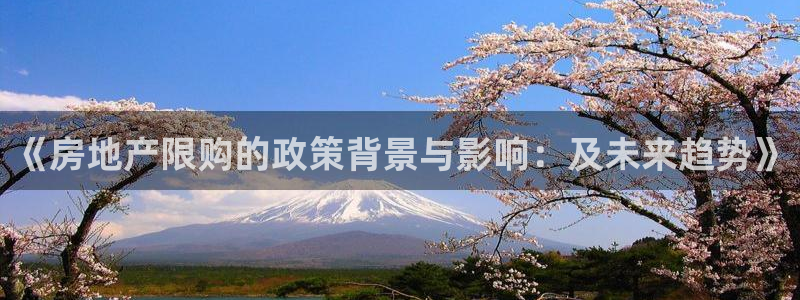 新宝5d：《房地产限购的政策背景与影响：及未来趋势》
