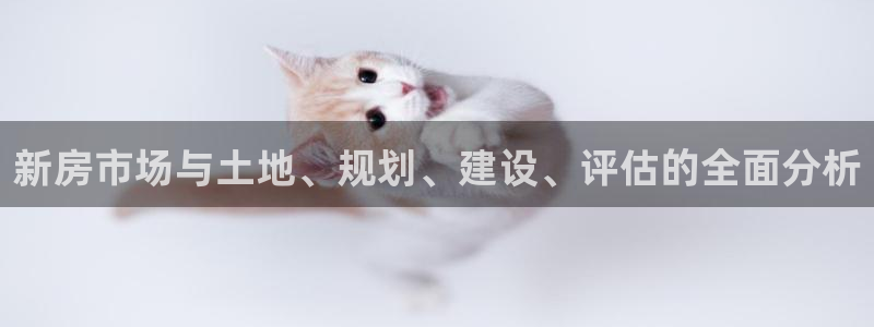 新宝5链接：新房市场与土地、规划、建设、评估的全面分析