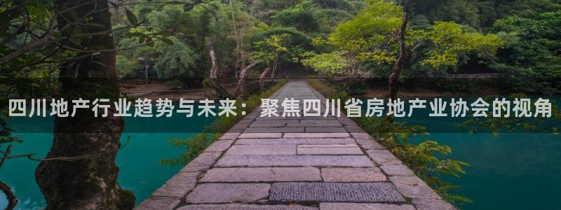 新宝5账号注册：四川地产行业趋势与未来：聚焦四川省房地产业协