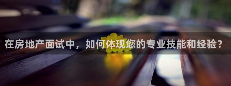 新宝5苹果手机下载：在房地产面试中，如何体现您的专业技能和经