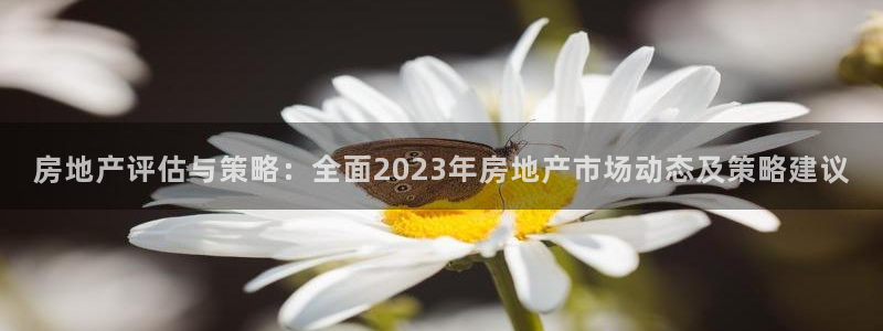 新宝5娱乐方：房地产评估与策略：全面2023年房地产市场动态