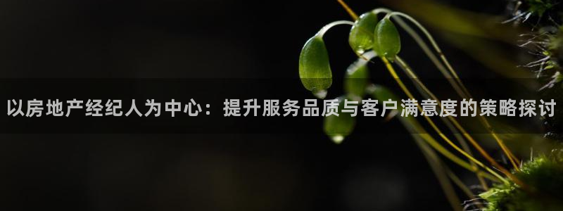 新宝5如何下载：以房地产经纪人为中心：提升服务品质与客户满意