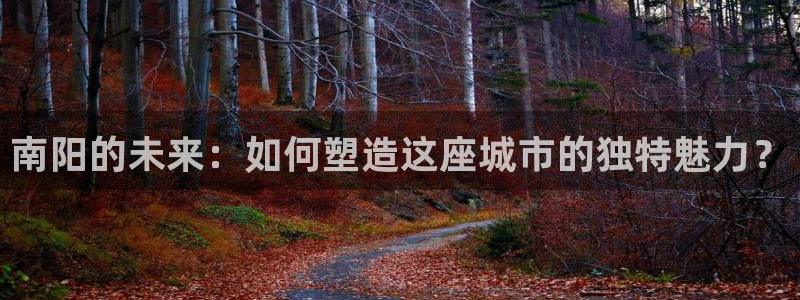 皇冠新宝5：南阳的未来：如何塑造这座城市的独特魅力？