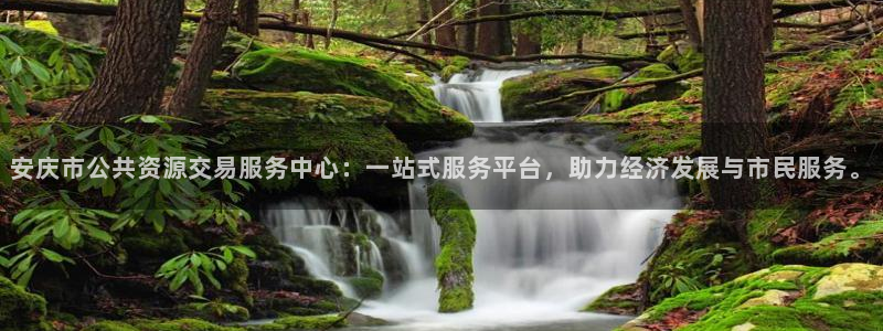 新宝5官方下载地址：安庆市公共资源交易服务中心：一站式服务平